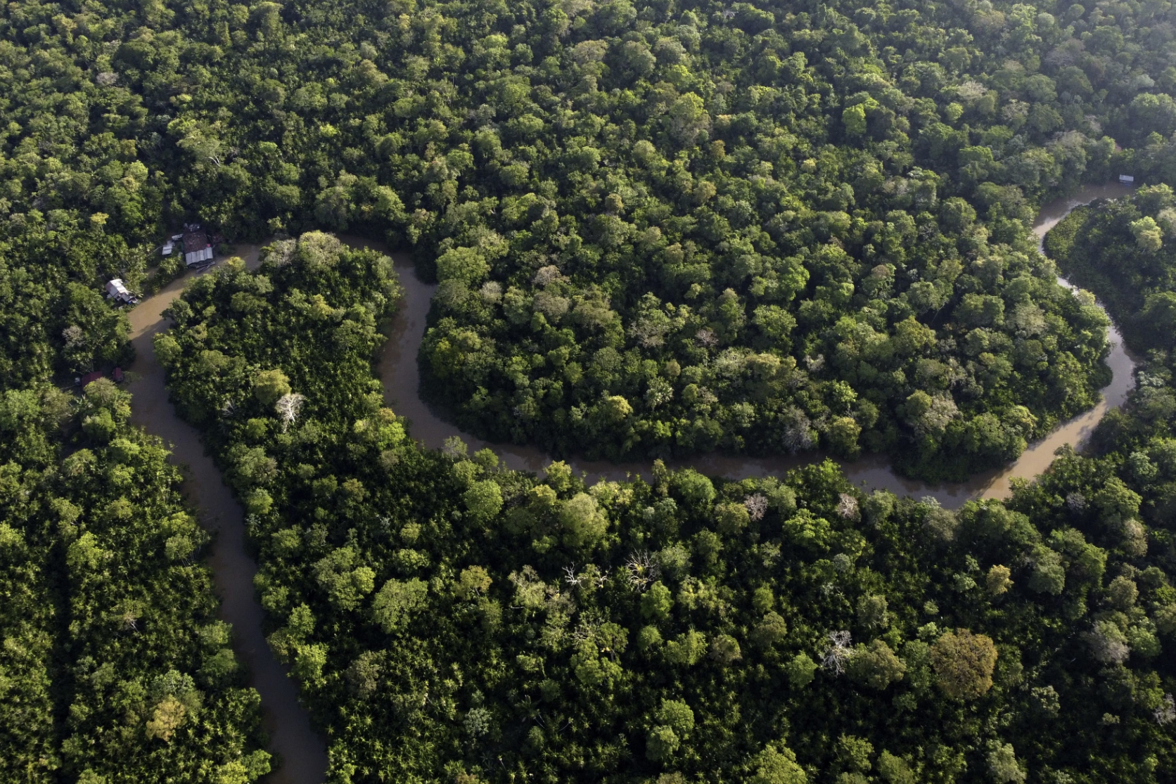 Aerial shot of the Amazon Rainforest. 