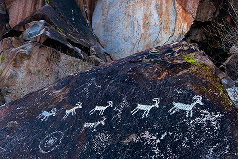 Shepherd and sheep petroglyphs at Grapevine Canyon in Nevada, United States. Stock image from Unsplash.